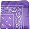 Mechaly Paisley 100% Polyester Unisex Bandanas 8 Pack Multi Color Accessories
